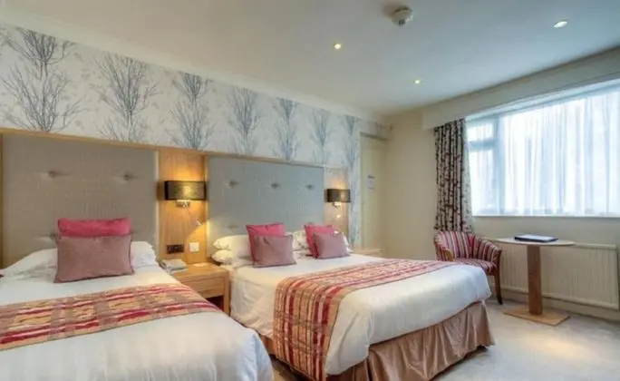 Family or Twin room