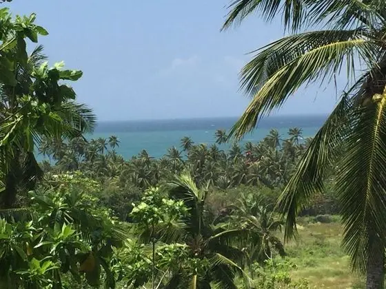 Deluxe Bungalov, 1 En Büyük (King) Boy Yatak, Veranda, Deniz Manzaralı