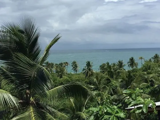 Superior Bungalov, Teras, Deniz Manzaralı