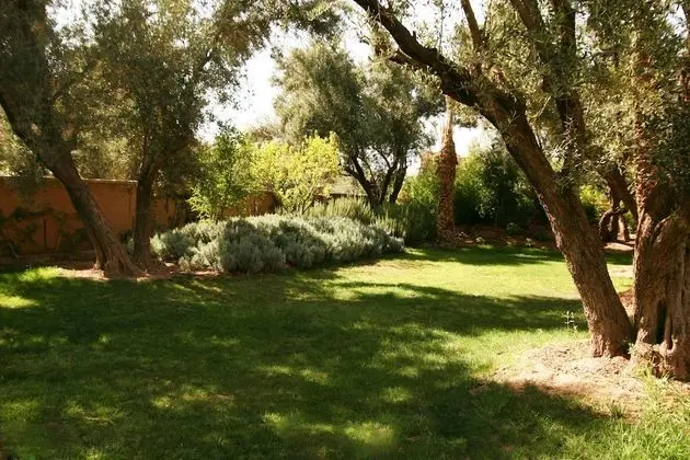 Family Villa, 4 Yatak Odası
