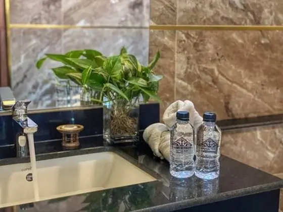 Superior Tek Büyük veya İki Ayrı Yataklı Oda
