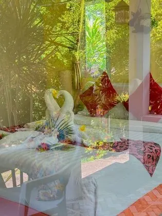 Deluxe Beachfront Room With Garden View