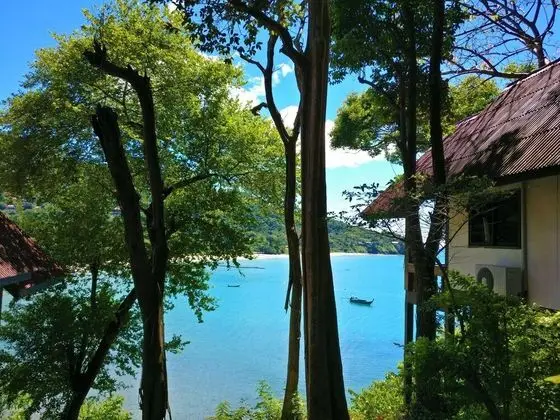 Superior Bungalov