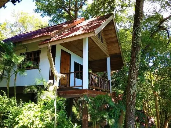 Superior Bungalov