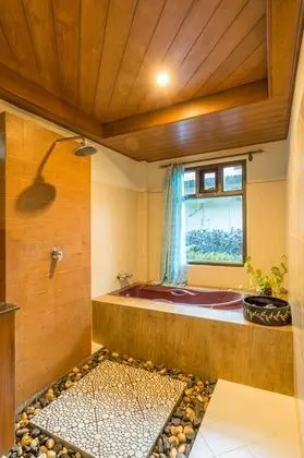 Deluxe Bungalov