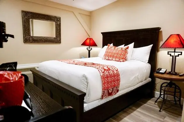 Deluxe Oda, 1 Büyük (Queen) Boy Yatak (No Pets)