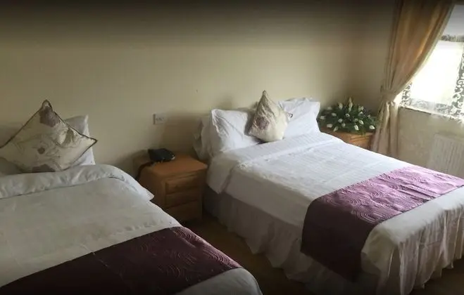Deluxe Tek Büyük Yataklı Oda, 1 Çift Kişilik Yatak