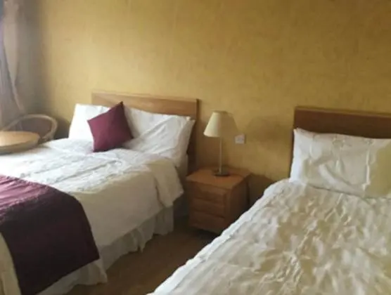 Deluxe Tek Büyük Yataklı Oda, 1 Çift Kişilik Yatak
