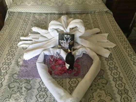 Süit