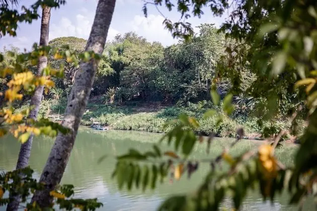 Deluxe Family River View
