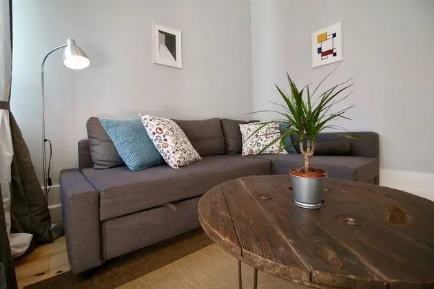 Apart Daire, 1 Yatak Odası