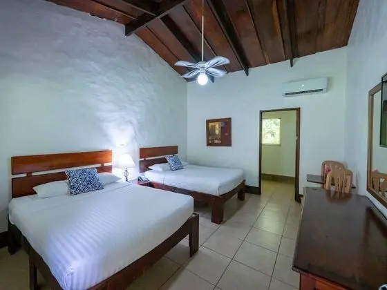 Estándar Queen, Mountain View