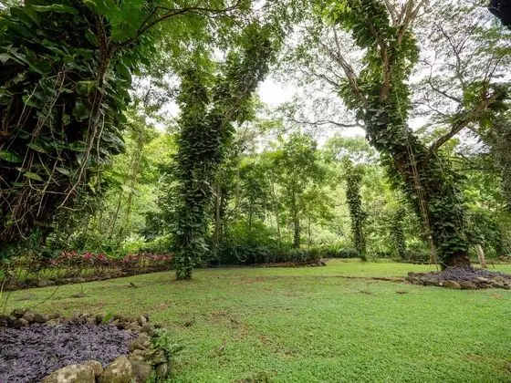 Estándar Queen, Mountain View