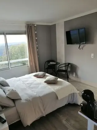 Panoramic Tek Büyük Yataklı Oda