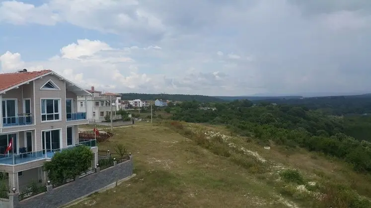 nehir  ve orman manzaralı
