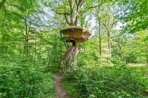 Grand Ağaç Ev (Az Alom)