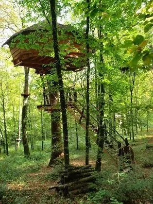 Grand Ağaç Ev (Az Alom)