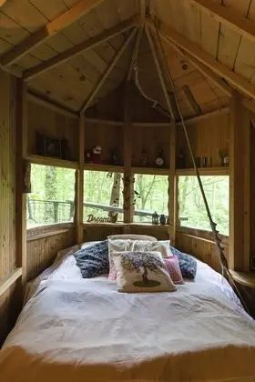 Romantic Ağaç Ev (Dream)