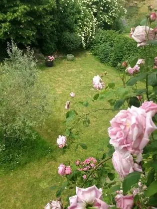 Süit (Romance)