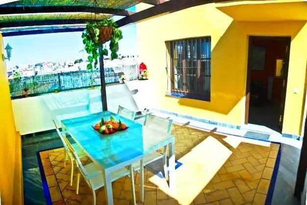 Standard Çatı Katı Süiti (Penthouse), Teras