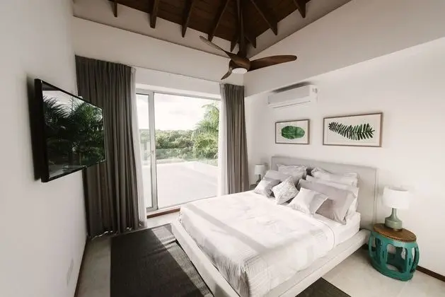 Luxury Villa