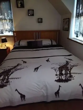 Comfort Oda, 1 En Büyük (King) Boy Yatak