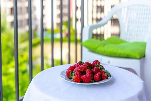 Family Stüdyo, Balkon