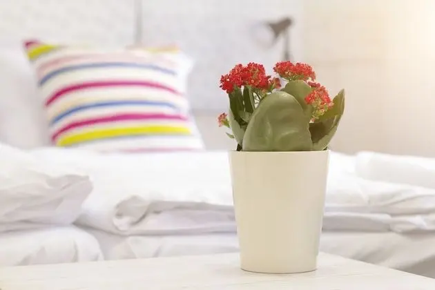 Standard Tek Büyük veya İki Ayrı Yataklı Oda