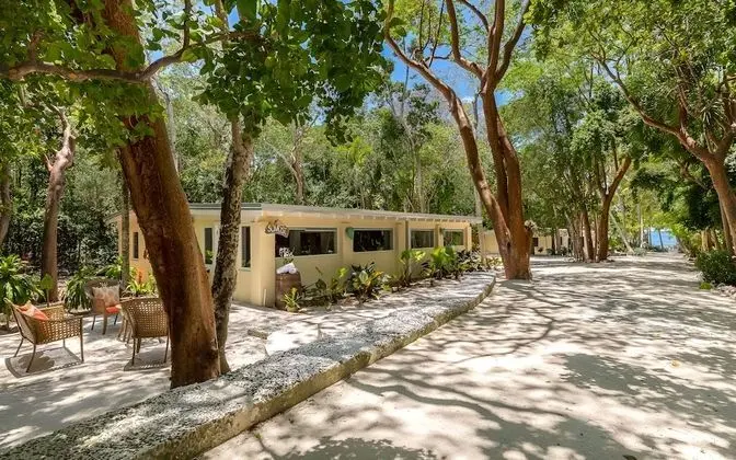 Superior Bungalov, Birden Çok Yatak, Sigara İçilmez, Bahçe Manzaralı