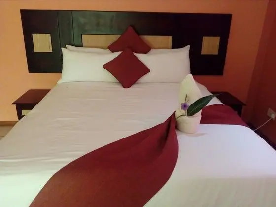 Executive Tek Büyük Yataklı Oda, Engellilere Uygun