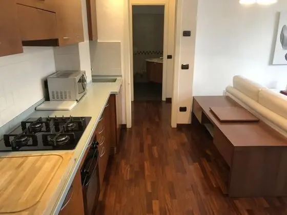 Apart Daire, 1 Yatak Odası, Balkon, Göl Manzaralı
