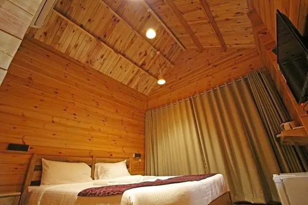 Deluxe Oda, 1 Çift Kişilik Yatak, Sigara İçilmez