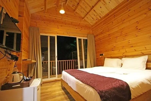 Deluxe Oda, 1 Çift Kişilik Yatak, Sigara İçilmez