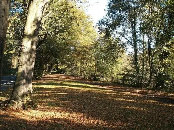 Kır Evi, Banyolu/Duşlu (type C - 4 People)