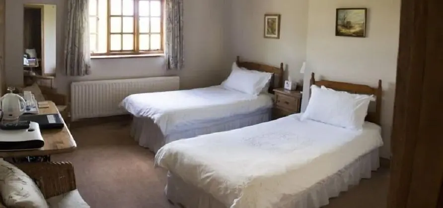 Tek Büyük veya İki Ayrı Yataklı Oda (King/Twin )