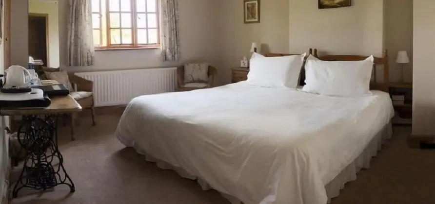 Tek Büyük veya İki Ayrı Yataklı Oda (King/Twin )