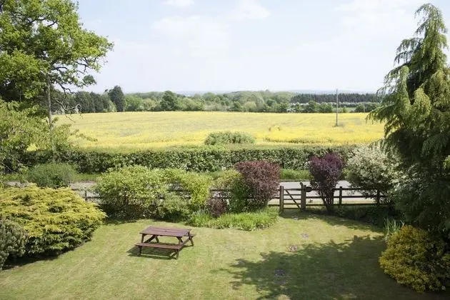 Tek Büyük veya İki Ayrı Yataklı Oda (King/Twin )