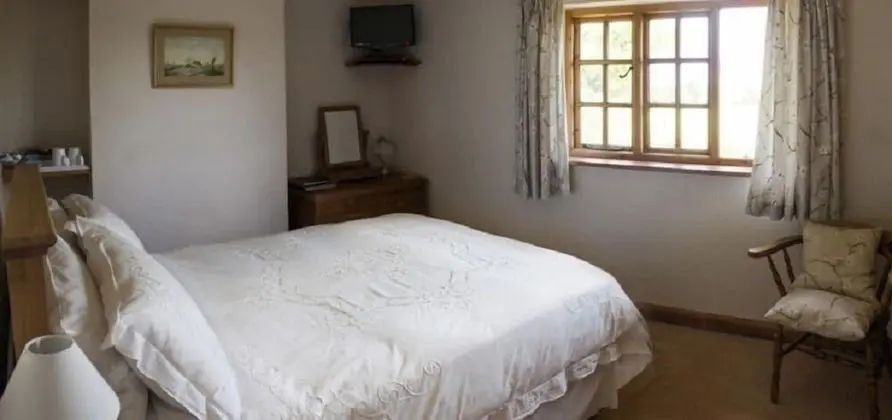 Tek Büyük Yataklı Oda