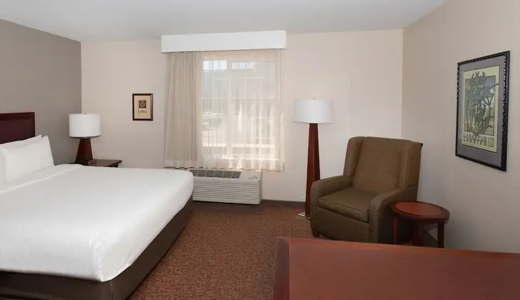 Süit (King Suite with Twin Wall Bed)