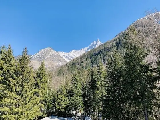 Family Dört Kişilik Oda