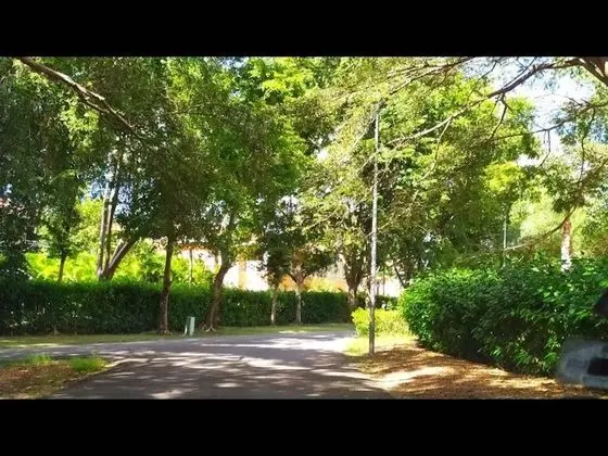Apart Daire, 3 Yatak Odası, Balkon