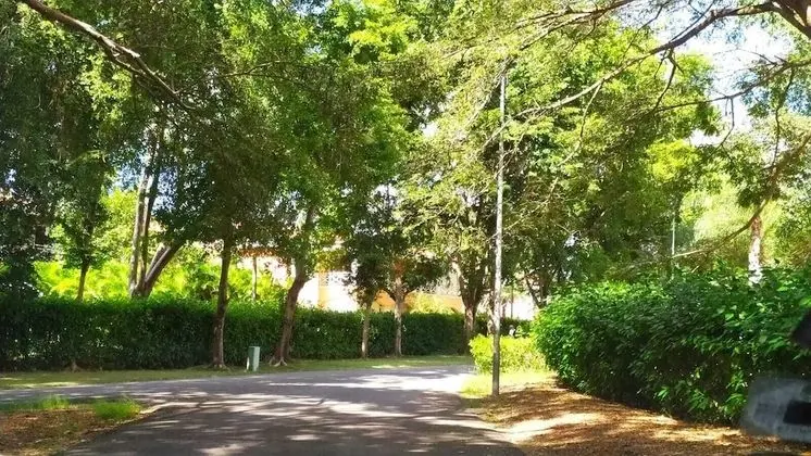 Apart Daire, 3 Yatak Odası, Balkon