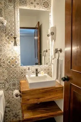 Standard Tek Büyük Yataklı Oda, 1 Çift Kişilik Yatak, Özel Banyo, Avlu