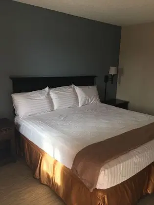Deluxe Tek Kişilik Oda, 1 En Büyük (King) Boy Yatak