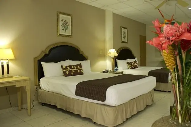 Deluxe Tek Büyük Yataklı Oda, 1 Yatak Odası