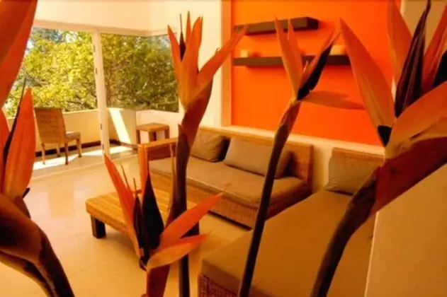 2-bedroom Suite Ocean View