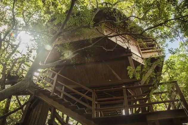 Bungalov (TreeTop)