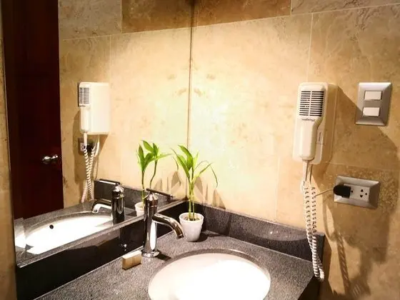 Executive Tek Büyük Yataklı Oda