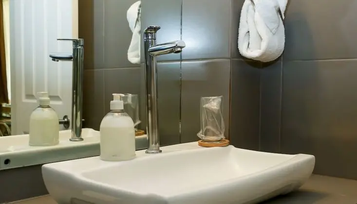 Business Tek Büyük Yataklı Oda, 2 Büyük (Queen) Boy Yatak, Özel Banyo, Bahçeli