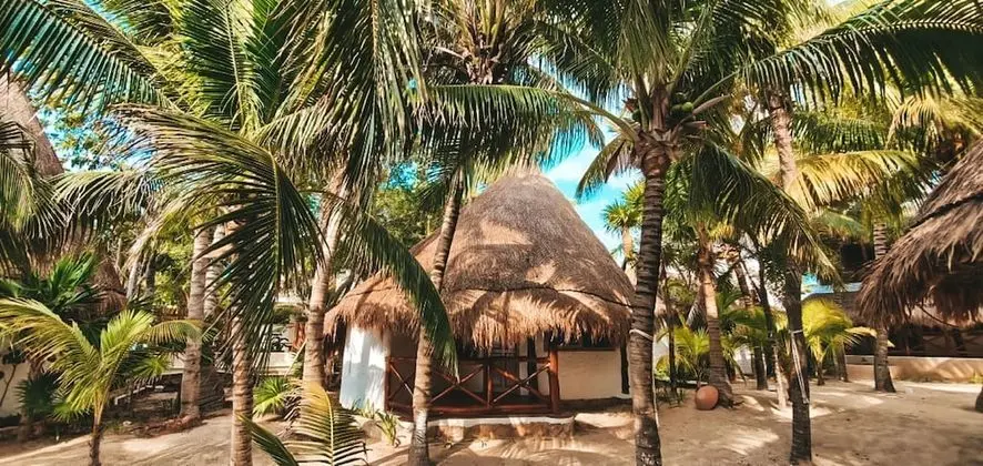 Bungalow, 1 King Bed, Garden View